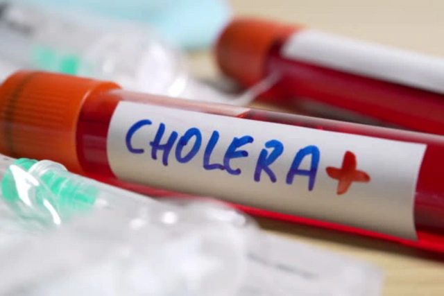 В России госпитализировали граждан Индии с подозрением на холеру